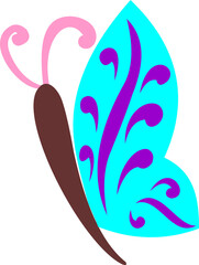 Colorful beautiful  butterfly 