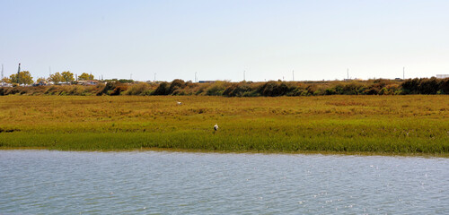 view of the gilao river seen from a boat tavira portugal