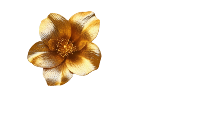 golden flower glitter overlay with sparkling floral clipart shining gold floral design elements for creative projects and digital art