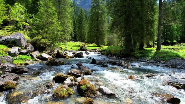 A tranquil forest stream flowing over rocks surrounded by lush greenery. Silent 4K footage capturing the serene beauty of nature, ideal for scenic and calm visual projects.