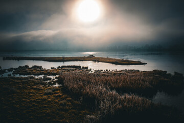 Der Mooswaldsee bei Günzburg an einem nebeligen Wintertag