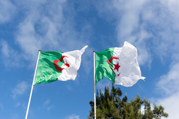Algeria flag against a clear sky. 