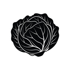 cabbage white background.eps