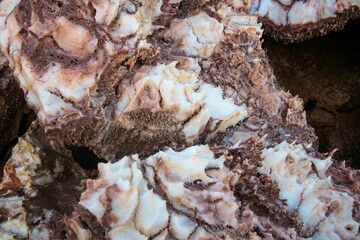 volcanic salt stone close up in the Ethiopia Danakil depression