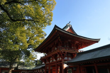 埼玉の風景　冬