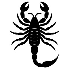  scorpion silhouette vector art illustration