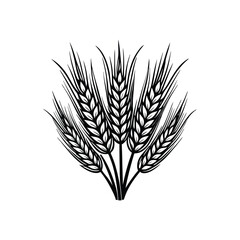 ears-of-wheat.eps