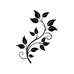 Obraz premium elegant leafy vine.eps
