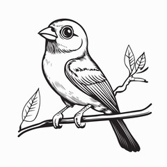 Canary perched on a branch image vector isolated on a white background