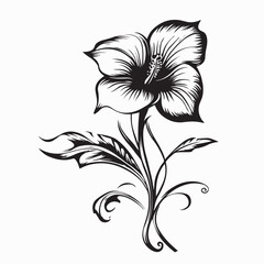 Beautiful bellflower image vector isolated on white background.