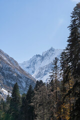 Obraz premium Dombay. Karachay-Cherkessia. Giant rocks with snow-capped peaks and glaciers rise majestically against blue autumn sky. Pine and spruce forests grow at foot of the mountains. Sunny day. Autumn 2024