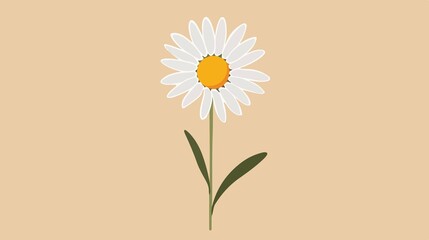 Daisy Flower Icon Isolated Transparent Vector