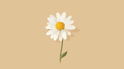Vibrant Daisy Flower Icon Vector Illustration Isolated on White Background