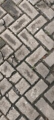 paving stone texture