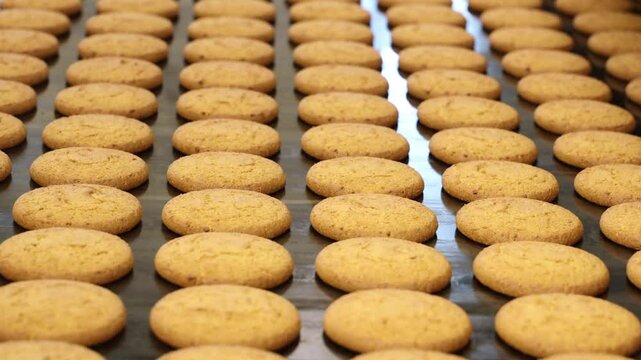 cookie production at a confectionery factory