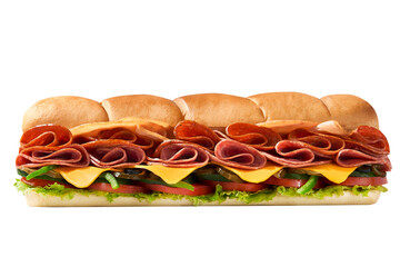 slice beef sandwich long size