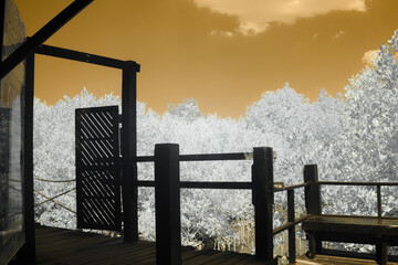 Infrared photography, a serene landscape featuring vibrant, white foliage against a striking orange...