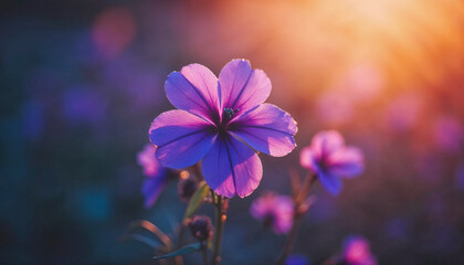 A purple flower with dew drops on it is the main focus of the image. The flower is surrounded by other purple flowers, creating a beautiful and serene scene