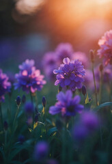 Obraz premium A field of purple flowers with the sun shining on them. The flowers are in full bloom and the sunlight is creating a warm and inviting atmosphere
