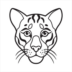 Clouded Leopard in the Wild - Elusive and Mysterious Big Cat