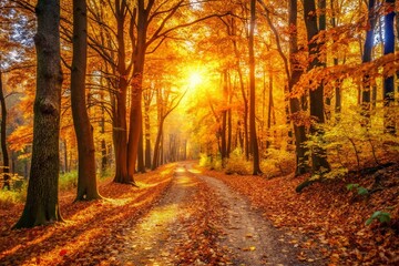 Golden Autumn Path: Sunlit Forest Trail with Crisp Fall Foliage, High Depth of Field