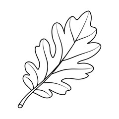 a black and white line drawing of an oak leaf