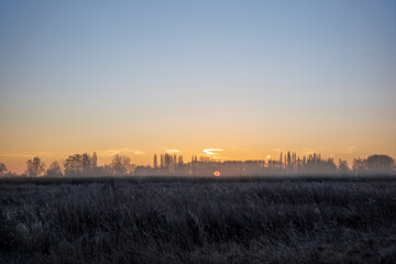 sunrise over the field