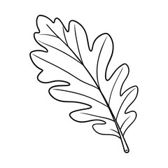 a black and white line drawing of an oak leaf