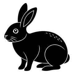 white rabbit on black