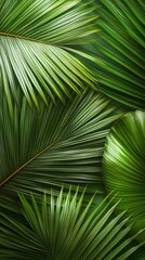 Detailed close-up of a green palm leaf highlights its unique textures and shadows, creating a soothing backdrop for various uses