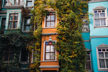 Fototapeta premium Vibrant facades of the colorful traditional houses in Balat, adorned with climbing plants displaying autumn colors, Istanbul, Turkey