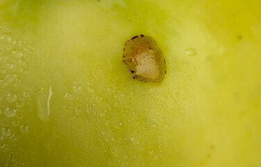 fresh crunchy apple with red and green peel