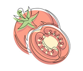 Whole and halves red tomato contour line isolated on white background. Simple vegetable silhouette. Hand drawn tomatoes outline. Vector illustration