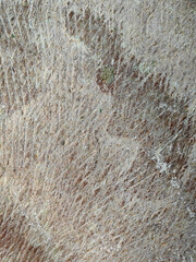 Marble Texture Background, Natural Marble Stone For Interior. High quality photo