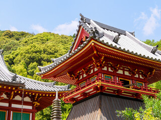 【奈良県】大和郡山市 矢田寺(金剛山寺) (2024/04/17撮影)