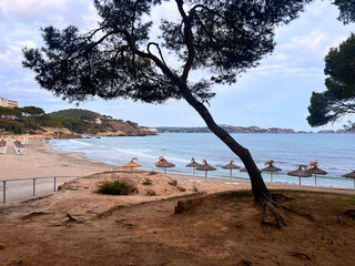 Platja Palmira, Peguera, Illes Balears, Hiszpania