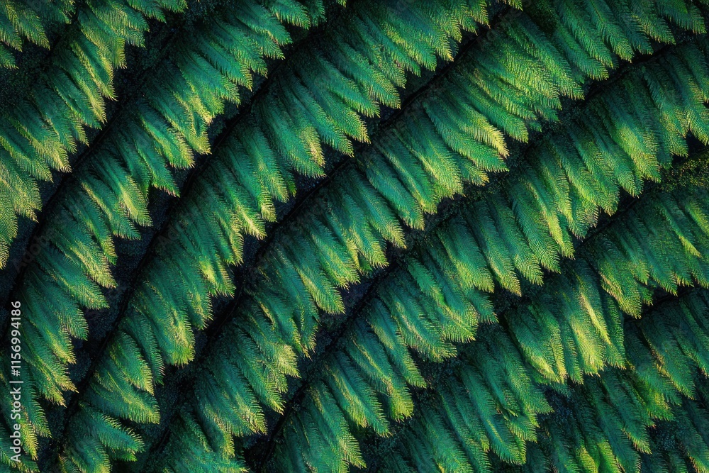 Aufkleber Close-up texture of overlapping green scales or leaves, creating a repeating pattern with subtle lighting variations.