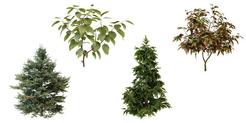 Fototapeta premium Collection of Top View Small Trees tranparent background