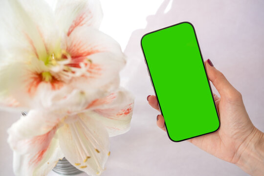 Close up of a woman’s hand holding a phone with a green screen on a floral background - Powered by Adobe