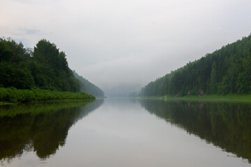 Serene forest river.