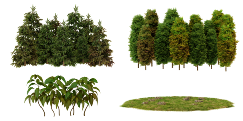 Green plants and grass textures for landscaping design  tranparent background