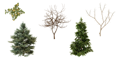 Overhead view of various plants and soil. Gardening and landscaping concept tranparent background