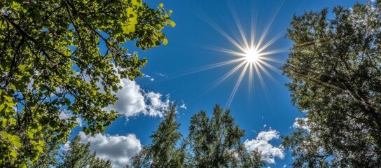 Fototapeta premium The midday sun lights up the blue sky in a panoramic photo.