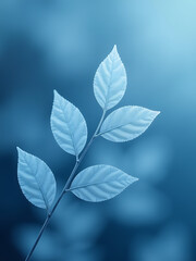 Subtle Blue Tones Create A Soothing Atmosphere With Delicate Frosted Leaves As Background Texture. 00003