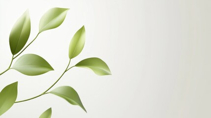 Fototapeta premium Beautiful green leaf pattern on soft background.