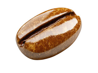 Shiny Brown Coffee Bean Isolated on White Background