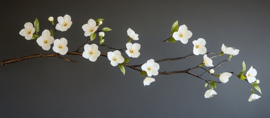 Delicate white flowering branches with lush green leaves ideal for spring decor and floral arrangements in any setting