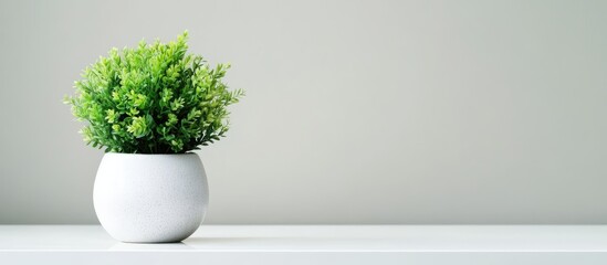 Fototapeta premium Lush green plant in a minimalist white vase on a clean table creating a fresh and modern interior design aesthetic