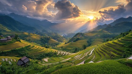 Fototapeta premium Serene Rice Terraces Under Dramatic Sunset in Mountain Landscape