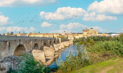 View of Mezquita, Catedral de Cordoba, across the roman bridge on Guadalquivir river. A former Moorish Mosque that is now the Cathedral of Cordoba. Cordoba, Spain.
